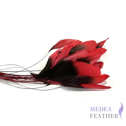 20cm Gradient Dyed Coque Feather - Pack of 5 #23 tango red