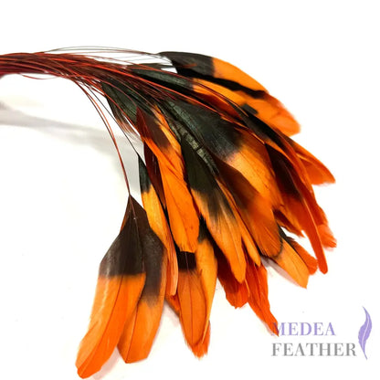 20cm Gradient Dyed Coque Feather - Pack of 5