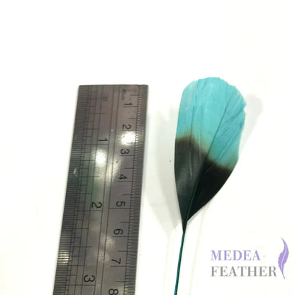 20cm Gradient Dyed Coque Feather - Pack of 5