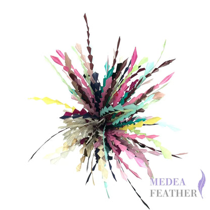 20cm Zig Zag Coque Feathers-Pack of 10
