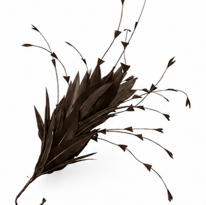 Goose and Long Trimmed Coque Feather Mount FM514