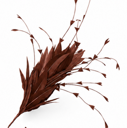 Goose and Long Trimmed Coque Feather Mount FM514