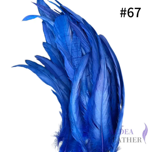 25cm Coque Feather-Pack of 10 SFROOSTER03
