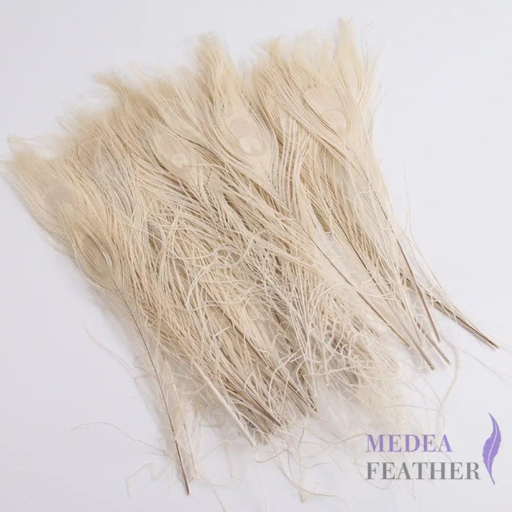 25cm Dyed Peacock Eye Feather Beige / Pack of 5