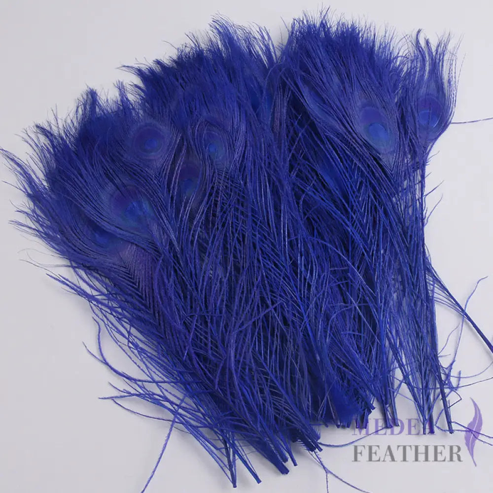 25cm Dyed Peacock Eye Feather Blue / Pack of 5