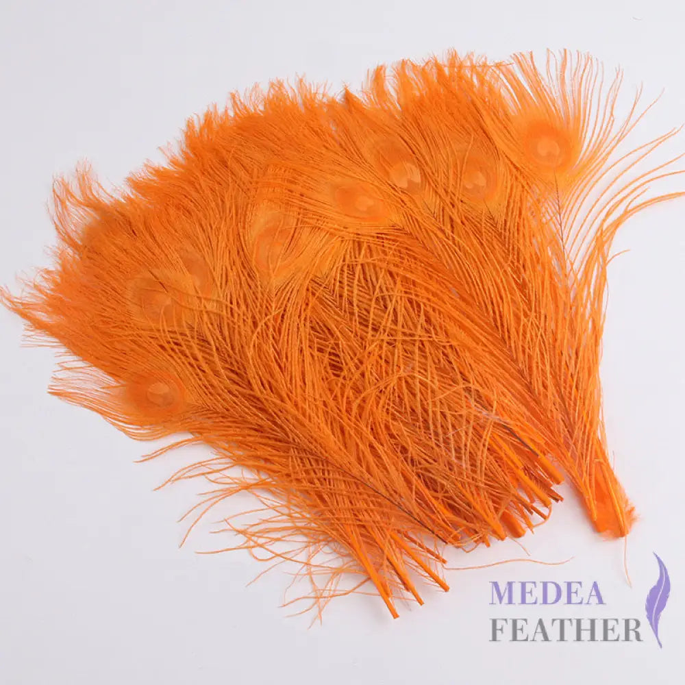 25cm Dyed Peacock Eye Feather Orange / Pack of 5