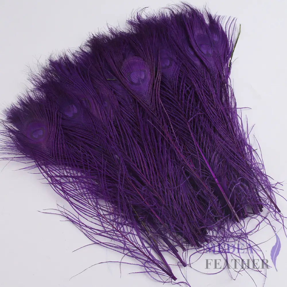 25cm Dyed Peacock Eye Feather Purple / Pack of 5