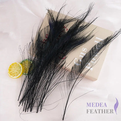25cm Multiple Colour Peacock Sword Feather #03 black