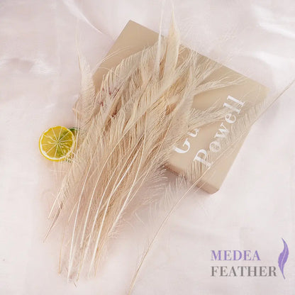 25cm Multiple Colour Peacock Sword Feather #05 beige