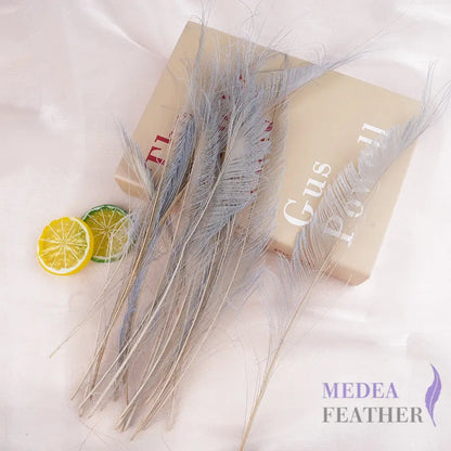 25cm Multiple Colour Peacock Sword Feather #14 gray