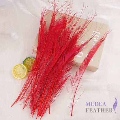 25cm Multiple Colour Peacock Sword Feather #23 tango red
