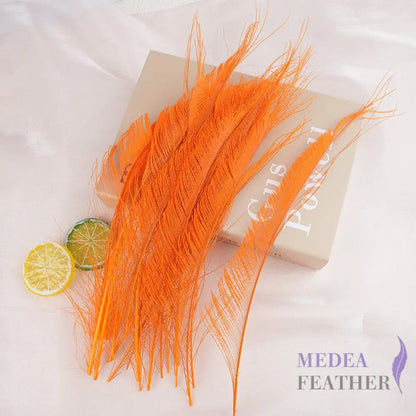 25cm Multiple Colour Peacock Sword Feather #24 carrot