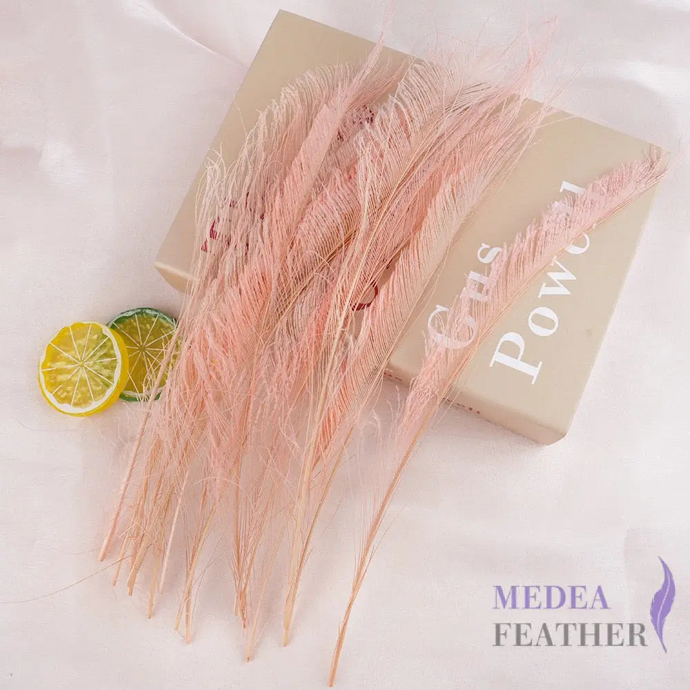 25cm Multiple Colour Peacock Sword Feather #45 rose cloud
