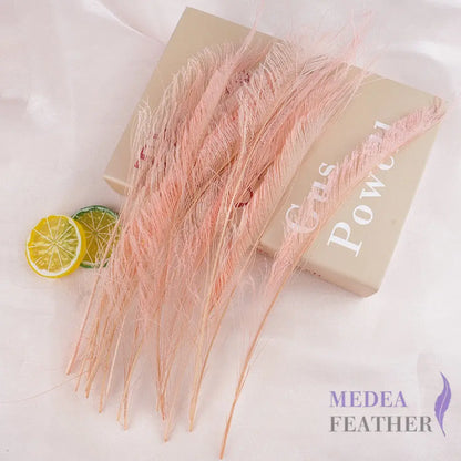 25cm Multiple Colour Peacock Sword Feather #45 rose cloud
