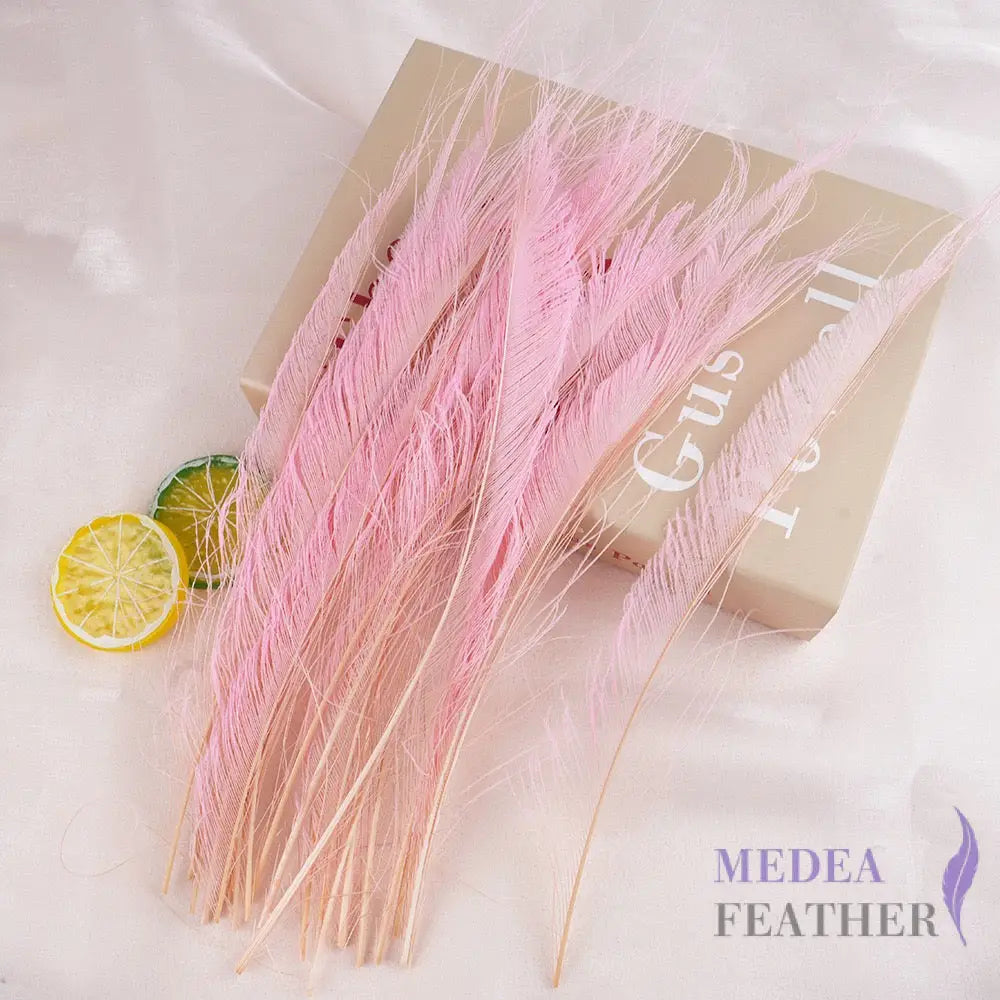 25cm Multiple Colour Peacock Sword Feather #46 bloosom