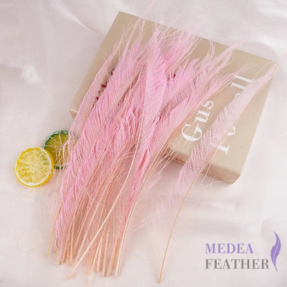 25cm Multiple Colour Peacock Sword Feather #46 bloosom