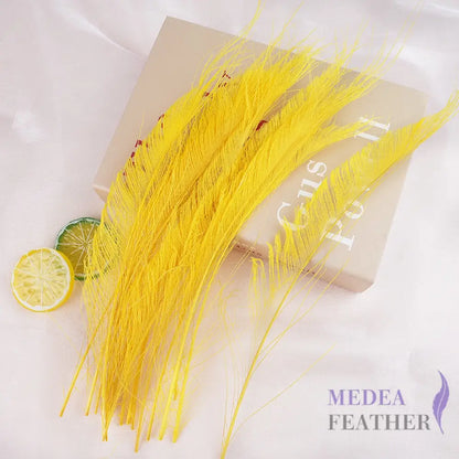 25cm Multiple Colour Peacock Sword Feather #58 yellow