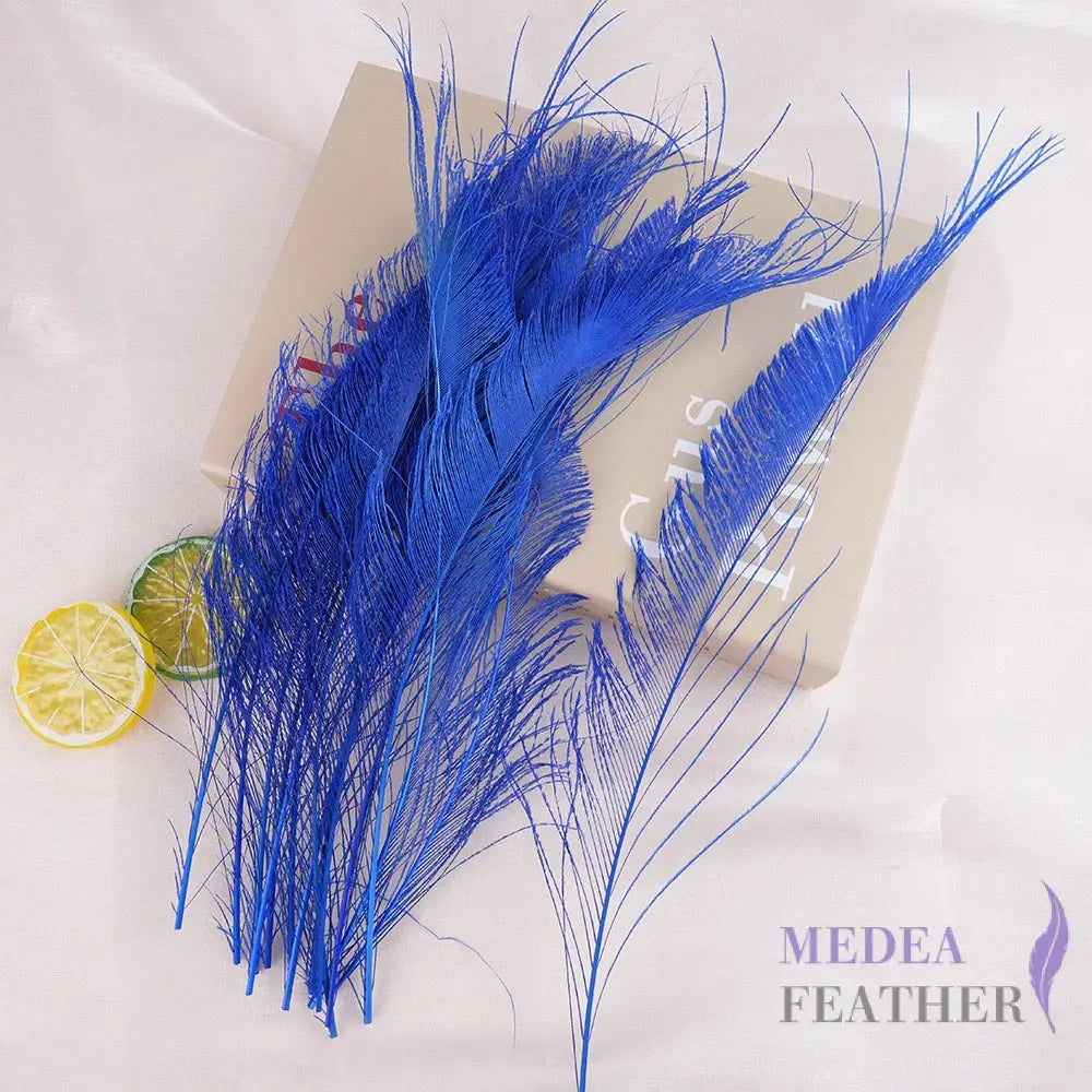 25cm Multiple Colour Peacock Sword Feather #67 royal blue