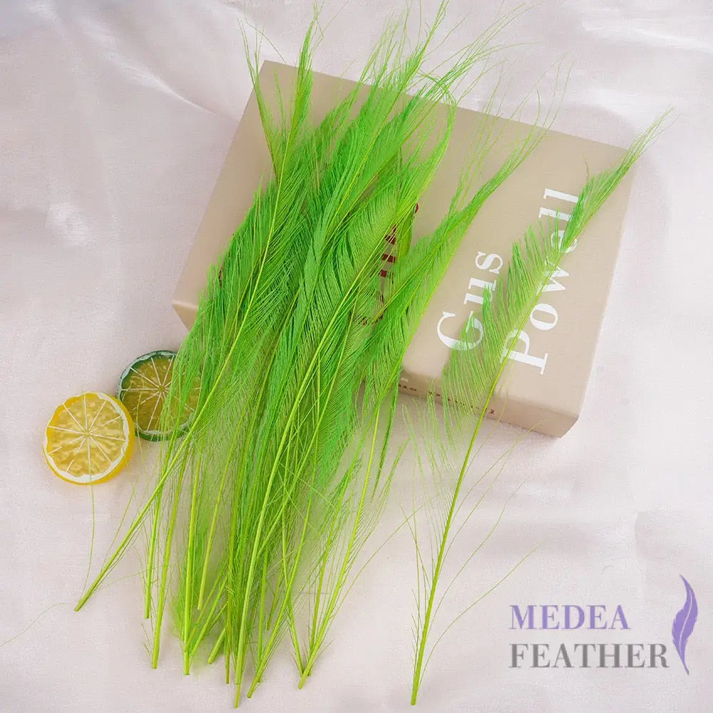 25cm Multiple Colour Peacock Sword Feather #71 emerald green