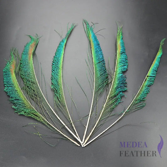 25cm Peacock Sword Feather