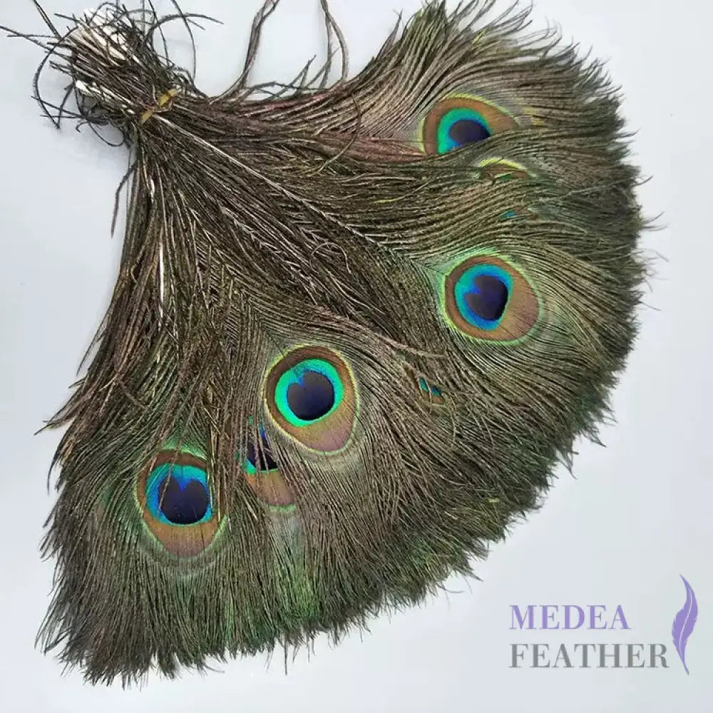 25cm Natural Peacock Eye Feather