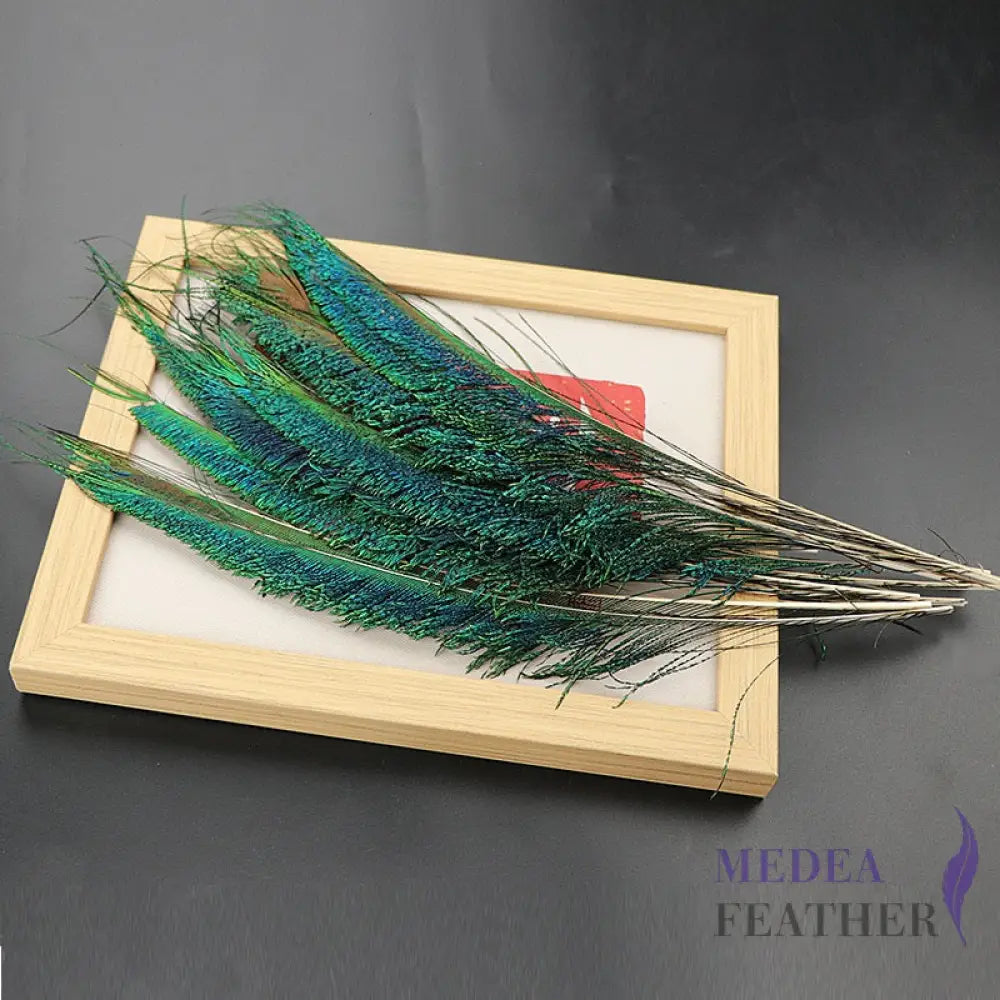 25cm Peacock Sword Feather