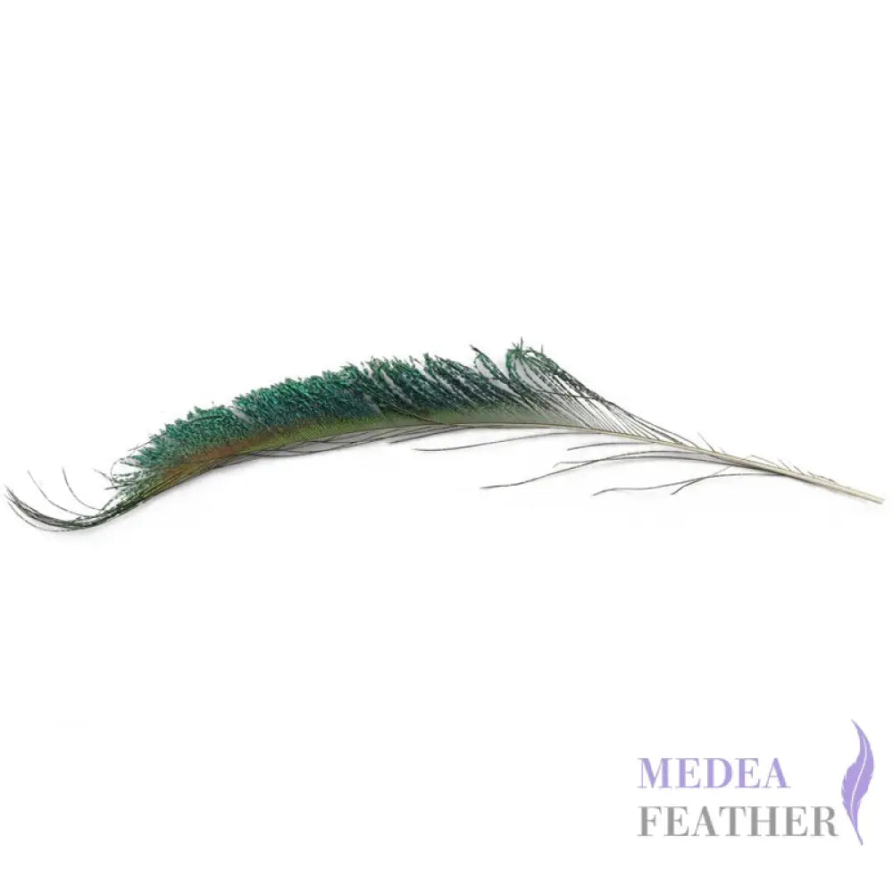 25cm Peacock Sword Feather
