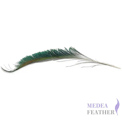25cm Peacock Sword Feather