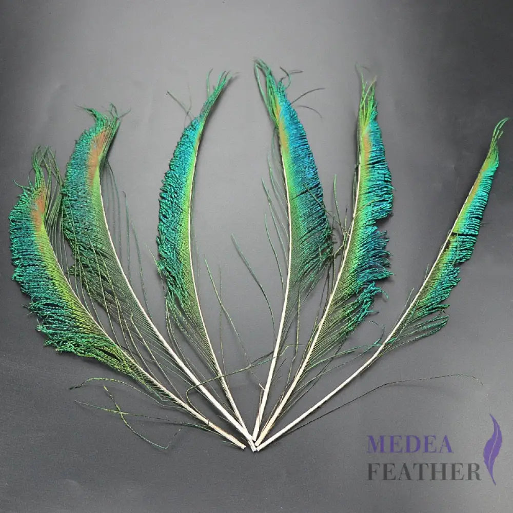 25cm Peacock Sword Feather