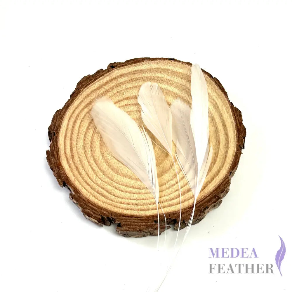 25cm Stripped Coque Feathers - Pack of 10 Ivory