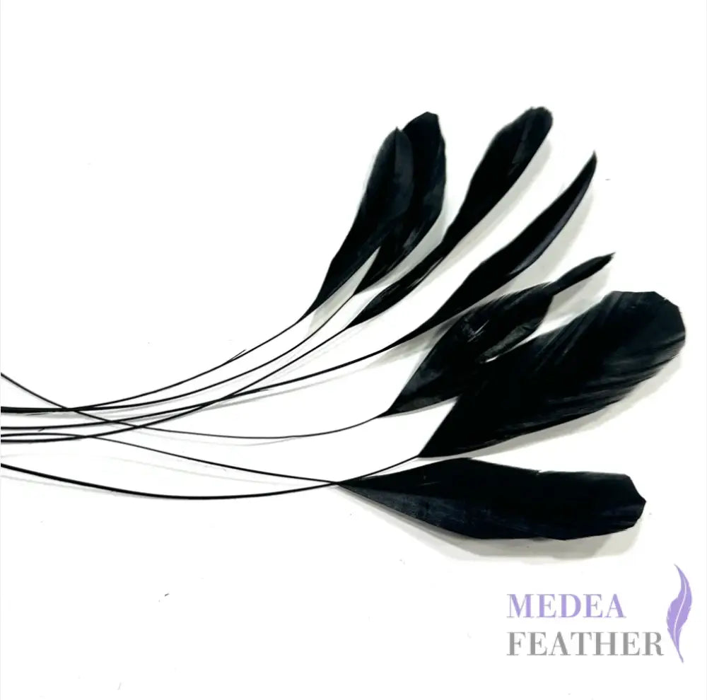 25cm Stripped Coque Feathers - Pack of 10 Black