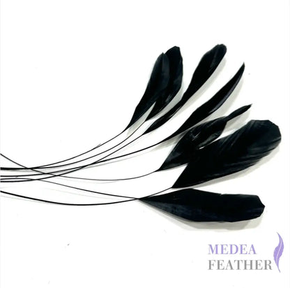 25cm Stripped Coque Feathers - Pack of 10 Black