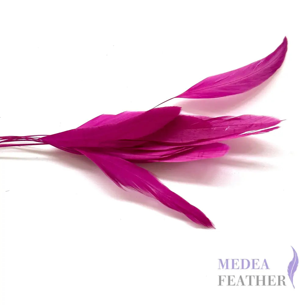 25cm Stripped Coque Feathers - Pack of 10 SF005 #19 Festival Fuchsia