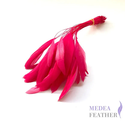 25cm Stripped Coque Feathers - Pack of 10 SF005 #21 Raspberry