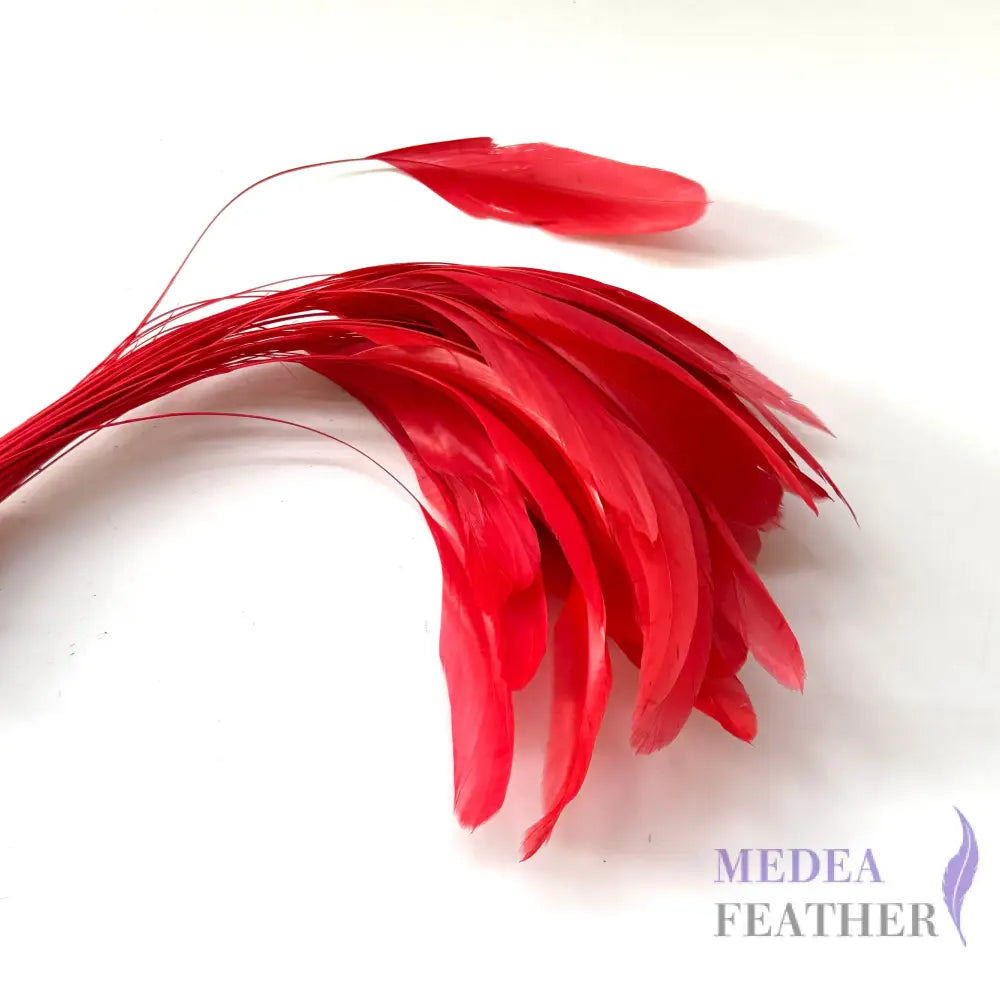 25cm Stripped Coque Feathers - Pack of 10 SF005 #22 red
