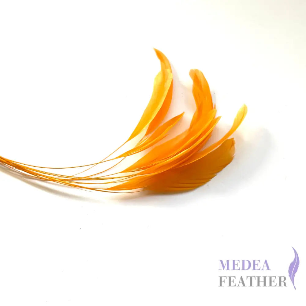 25cm Stripped Coque Feathers - Pack of 10 SF005 #25 saffron