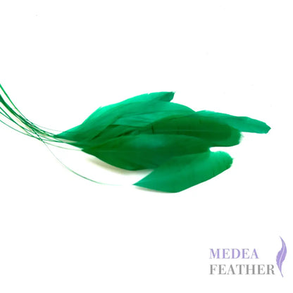 25cm Stripped Coque Feathers - Pack of 10 SF005 #70 bright green