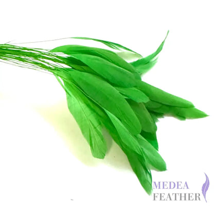 25cm Stripped Coque Feathers - Pack of 10 SF005 #71 emerald green