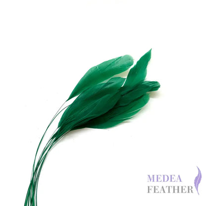 25cm Stripped Coque Feathers - Pack of 10 SF005 #72 green