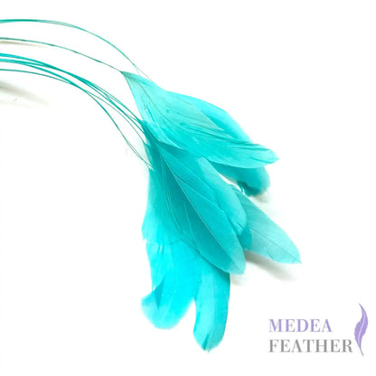 25cm Stripped Coque Feathers - Pack of 10 SF005 #75 light turquoise