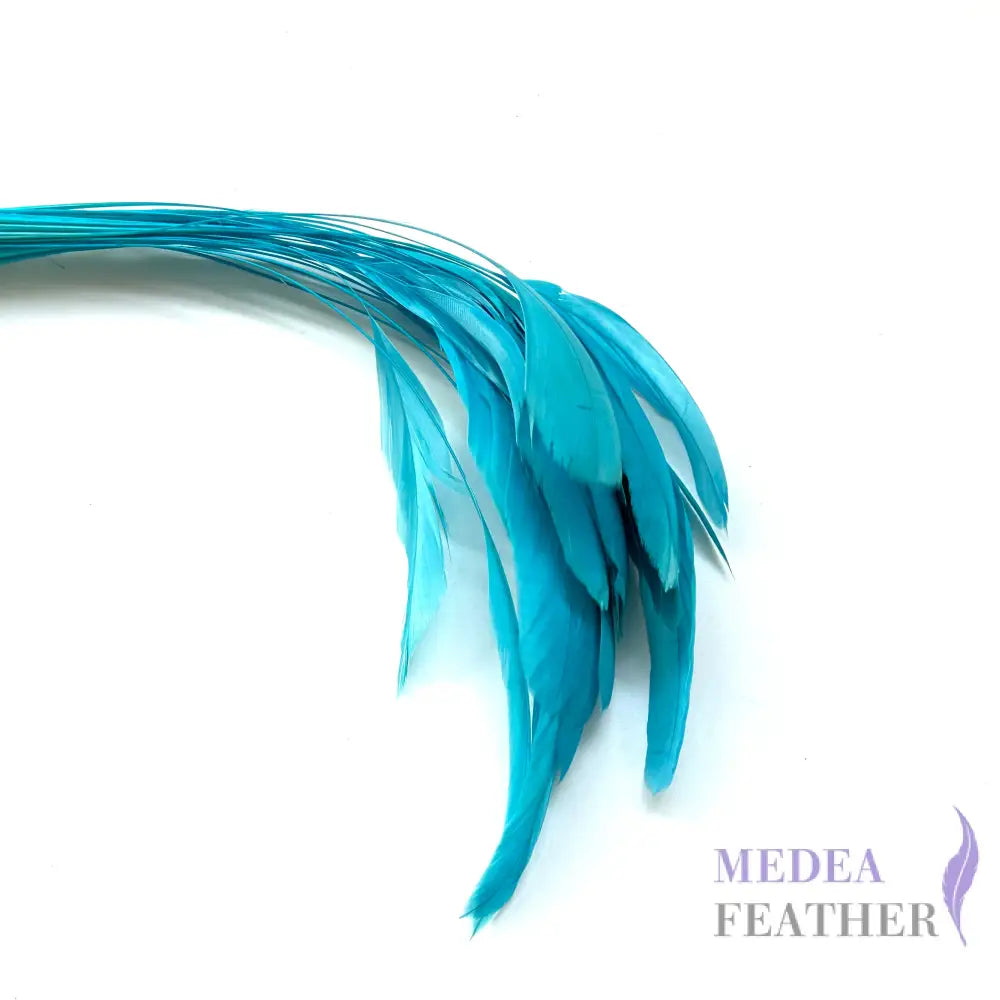 25cm Stripped Coque Feathers - Pack of 10 SF005 #78 turquoise