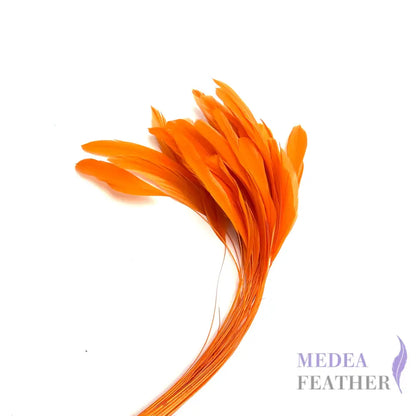 25cm Stripped Coque Feathers Pack of 10 Custom Please add text below