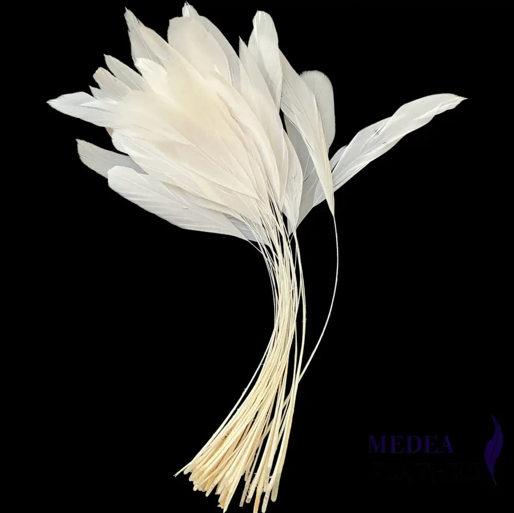 25cm Stripped Coque Feathers - Pack of 10 SFROOSTER01 - #02 white
