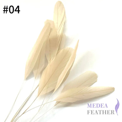 25cm Stripped Coque Feathers - Pack of 10 SF005 #04 cream