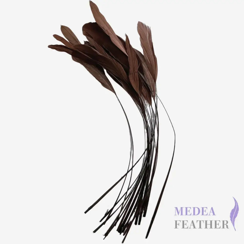 25cm Stripped Coque Feathers - Pack of 10 SFROOSTER01 - #06 Brunette