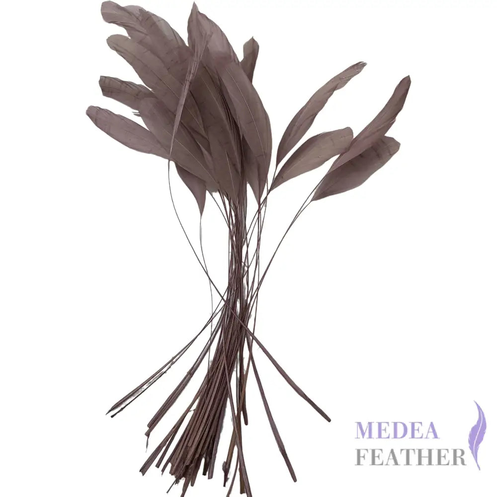 25cm Stripped Coque Feathers - Pack of 10 SFROOSTER01 - #09 wood rose