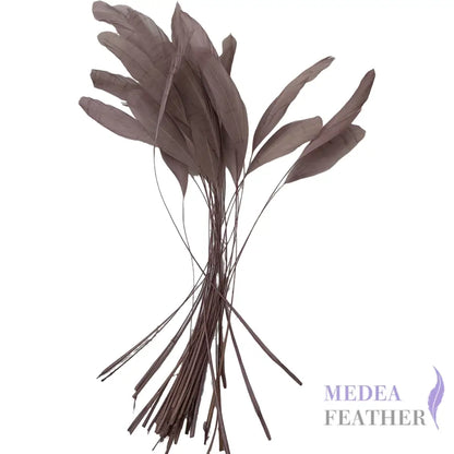 25cm Stripped Coque Feathers - Pack of 10 SFROOSTER01 - #09 wood rose