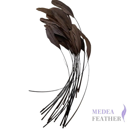 25cm Stripped Coque Feathers - Pack of 10 SFROOSTER01 - #15 fungi