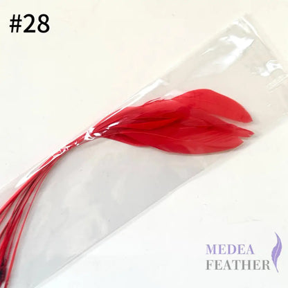 25cm Stripped Coque Feathers - Pack of 10 SF005 #28 hibiscus
