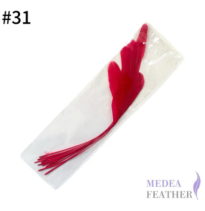 25cm Stripped Coque Feathers - Pack of 10 SF005 #31 rose red